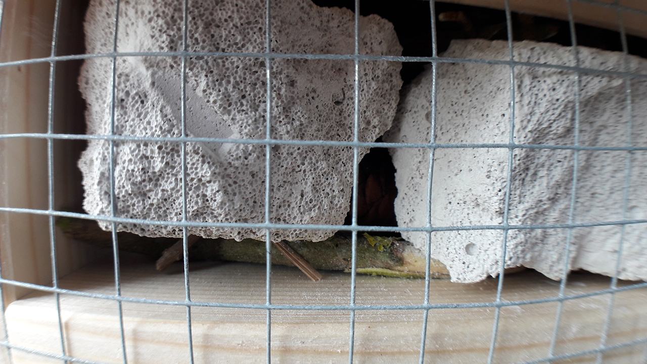 Insect Hotel Third Floor Stone Close Up